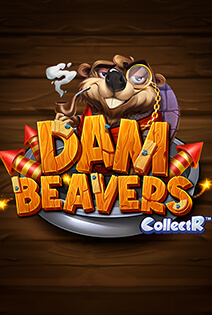 Dam Beavers